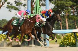 【レパードＳ2023結果・全着順】（新潟）～ライオットガールが優勝