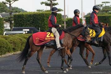 【阪神JF】1週前追い　ランフォーヴァウはCWコースで併せ馬