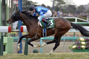 ２０１２年有馬記念で２着オーシャンブルーが骨折　安楽死措置取られる　