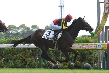 【若駒ピカイチ】ゲルチュタールは叔父にGⅠ馬キラーアビリティ　余力残して勝ち切った初陣に好感