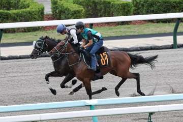 【エルムＳ】ナチュラルハイは札幌ダートコースで併入　永野猛蔵騎手「出がけの硬さもそこまで気にならないし、楽しみです」