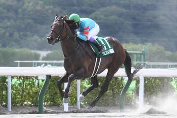 【３歳以上次走報】無傷５連勝のヤマニンウルスは放牧へ　今後は馬の状態を見て