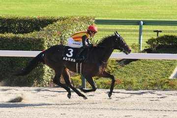 【プラタナス賞】ダートで一変したメルキオルが連勝でオープン入り