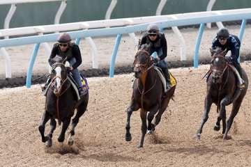 【日本ダービー】ゴンバデカーブース中２週の疲れなし　楽な手応えで僚馬２頭と併入