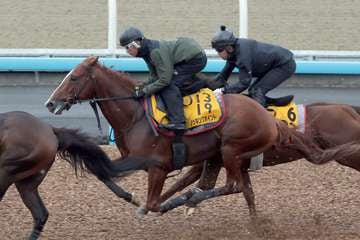 【七夕賞】ノッキングポイント手応え十分　Ｗコースで３頭併せ