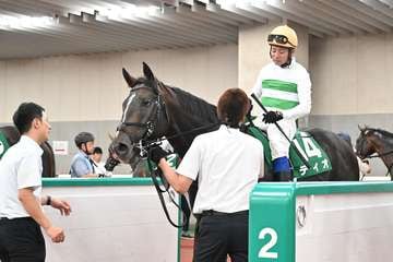 【3歳以上次走報】関屋記念2着のディオは京成杯AHを視野に