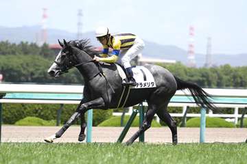 【２歳新馬・阪神５Ｒ】テラメリタが軽快に逃げ切り世代一番星！父は新種牡馬のブリックスアンドモルタル