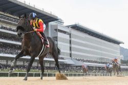 【チャンピオンズＣ2024】逃げ馬の作る展開から推理　15番枠から2番枠へと状況好転したレモンポップの連覇を阻むのは……