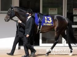 【次走激アツ君メモ】次走中山でメトロポリターナの勝ち上がりに期待!