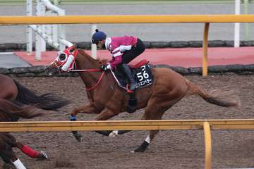 【日本ダービー】２週前追い　シンエンペラーはＣＷコースで併せ馬　吉田助手「いい立ち上げができました」