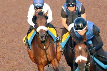 【産経賞オールカマー】サリエラ活気十分　夏の疲れなく6ハロン82秒1で併入