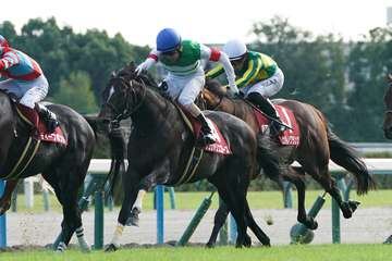 【3歳以上次走報】シュヴァリエローズは香港ヴァーズの招待なければステイヤーズSへ