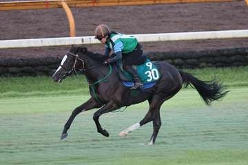 【今日の注目新馬】サーリアル乗り込み順調　母マイネレーツェルはGⅡ2勝／中京5R