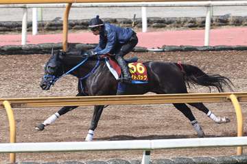 【オークス】１週前追い　ライトバックはシャープに伸びて４馬身半先着　茶木師「今週がレースでもいいくらい」