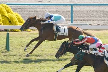 【２歳新馬・京都４Ｒ】シヴァースが内ラチ沿いを鋭く抜け出しデビュー勝ち