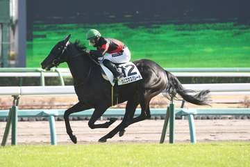 【２歳新馬・中山５Ｒ】クリスマスパレードが早め先頭から押し切りＶ