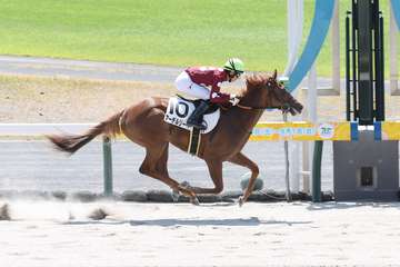 【２歳未勝利・中京２Ｒ】アーデルリーベが５馬身差Ｖ　エーデルワイス賞に登録へ