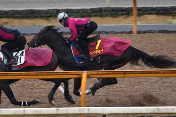 【桜花賞】１週前追い　クイーンズウォーク、クビ差遅れも馬なりで手応え優勢