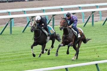 【札幌2歳S】ホウオウガイア、札幌芝で馬なり併入　大竹師「滞在でリラックス」