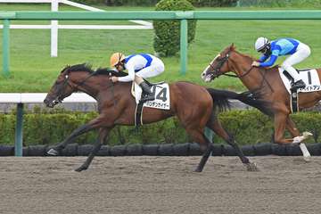 【２歳新馬・中山３Ｒ】ハンデンカイザーが２番手から抜け出して快勝