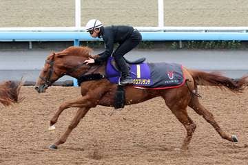 【皐月賞】１週前追い　アレグロブリランテがＷコースで抜群の伸び　上原佑師「うなっていました」