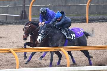 ドバイターフを目指すドウデュースが帰厩後初の併せ馬