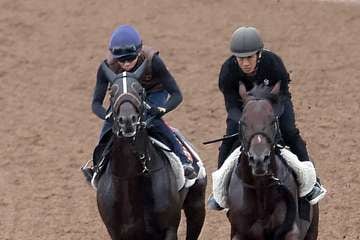 【セントライト記念】1週前追い　コスモキュランダは3馬身先着　加藤士津八師「跳びが大きくてすごく遅く感じるのに…」