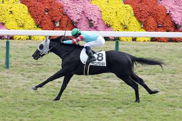 【２歳新馬・京都５Ｒ】ヤマニンアストロン１番人気に応えてデビュー戦快勝