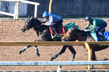 【阪神JF】1週前追い　アルマヴェローチェはCWコースで併せ馬　岩田望来騎手「イメージ通り、乗りやすかったです」