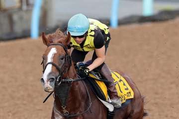 【産経賞セントウルS】トウシンマカオ好仕上がり　Wコースで先行馬を2馬身引き離す