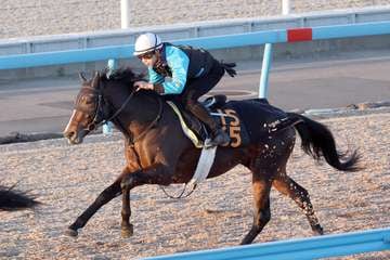 【京成杯】ロードヴェスパーは横山和生騎手を背に好反応！１馬身先着