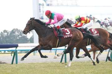 【３歳以上次走報】プラダリアは京都大賞典から香港ヴァーズへ