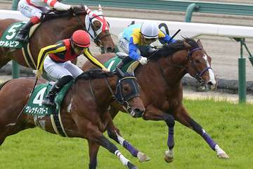 ルークズネストが登録抹消、浦和競馬へ移籍