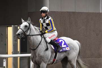 【3歳以上次走報】ガイアフォースは長岡禎仁騎手とのコンビでチャンピオンズCへ