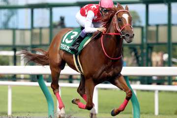 マテラスカイが１０歳で死す　種牡馬３シーズン目の今年は９５頭に種付け