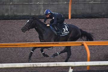 【ローズS】1週前追い　クイーンズウォークは川田将雅騎手を背にシャープな伸び　福永助手「十分に態勢は整うとみています」