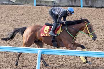 【秋華賞】成長明らかシンリョクカは美浦Ｗでラスト１１秒５