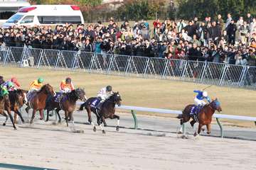 【チャンピオンズC】レースを終えて…関係者談話