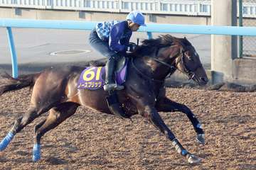 【天皇賞・秋】ノースブリッジ悠々１１秒８　岩田康誠騎手「前進気勢出てきた」