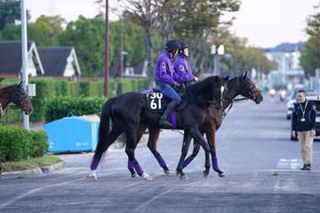 【今日の注目新馬】1・7億円馬インザスカイ　半姉は重賞勝ち馬シャドウディーヴァ／京都5R