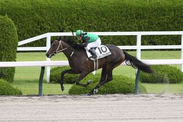 【２歳新馬・阪神４Ｒ】河原田騎手のクリノファンタジアが８馬身差で圧勝