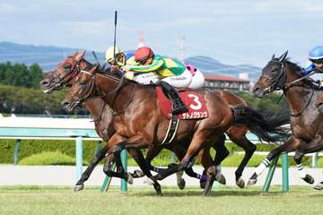 【3歳以上次走報】サトノグランツは香港ヴァーズを視野に