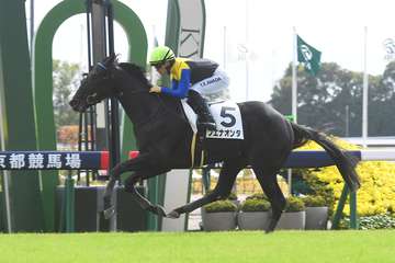 【２歳新馬・京都５Ｒ】ブエナオンダが４馬身差の圧勝！