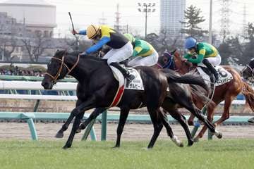 【２歳新馬・中山６Ｒ】チザルピーノが好位から力強く抜け出し快勝！