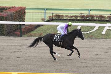 【ポラリスＳ】シャンブル反撃Ｖだ！