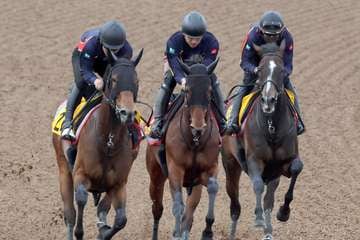 【ヴィクトリアＭ　俺のチェックポイント】ウンブライル合格点の馬なり併入　ブリンカー継続装着は未定