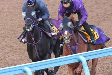 【スプリングＳ】ルカランフィーストＷコースで鋭く加速しＯＰ馬に１馬身先着