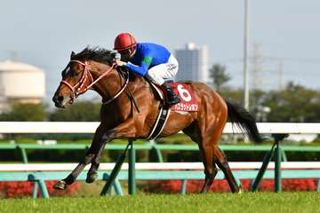 バスラットレオンがトルコで種牡馬入り