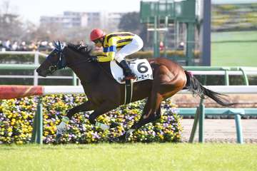 【２歳新馬・中山５Ｒ】ドリーミーデイが好スタートから逃げ切り勝ち！母は凱旋門賞馬デインドリーム