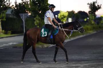 【今週の注目新馬】サマーナイトの伯父は帝王賞勝ち馬ゴルトブリッツ　寺島師「思った以上にしっかり走れる」／土曜中京5R